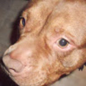 Meet your Posher, Jody